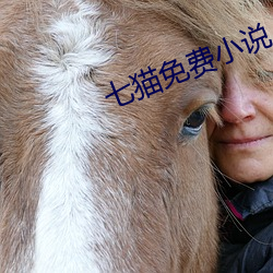 七貓免費小說