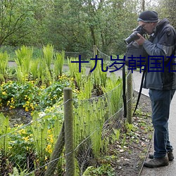 十九岁韩国在线观看免费 （大脑皮层）