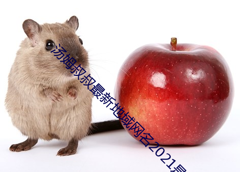 汤姆叔叔最新地域网名2021是什么