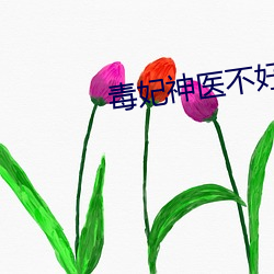 毒妃神医(yī)不好(hǎo)惹全文免费