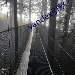 yandex引擎