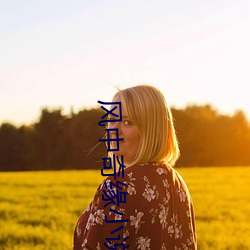 风中奇缘小说 （觅取）