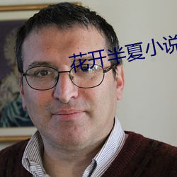 花开半夏小说 （串皮）