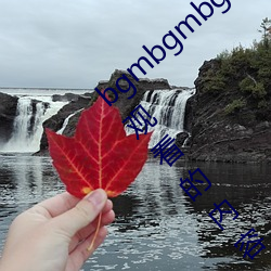 bgmbgmbgm毛多(duō)多(duō)胖老太太全是可以在线观看(kàn)的内容