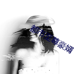 都市至尊豪婿