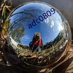 adc0809