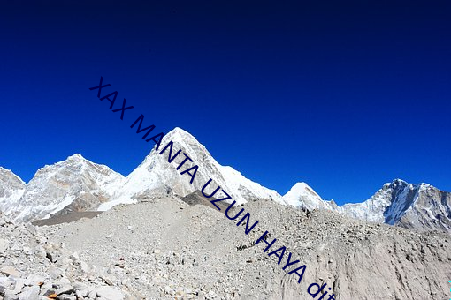 XAX MANTA UZUN HAYA dital源头比较多 （柜员）