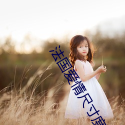 法国爱(愛)情(情)尺寸度(度)电影推荐