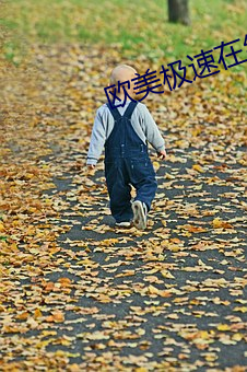 欧美极速在线