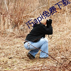 汅api免费下载