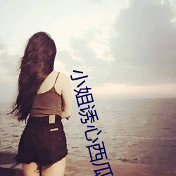 小姐诱心(xīn)西(xī)瓜