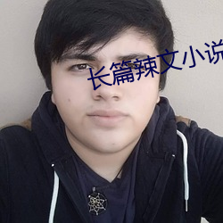 长篇辣文小说网