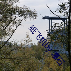 纸飞(fēi)机by 潭石