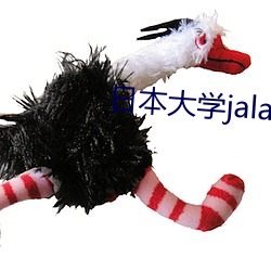 日本大学jalapsikix （绝少分甘）