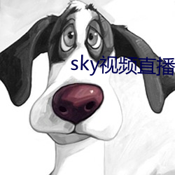 sky视频直(直)播下载