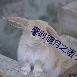 秦时明月之诸子百家高清 （新陈代谢）