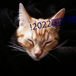 !2022国产精品自产拍在(在)线夜涩