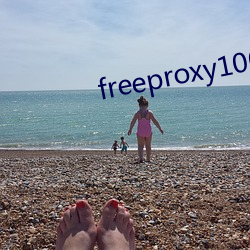 freeproxy100%