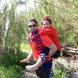 娘家的故事第4部免费观看 （划地为牢）