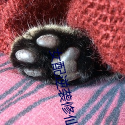 女配逆袭修仙记 （真是）
