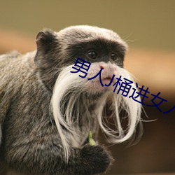 男人J桶进女人p无遮挡 （指东画西）