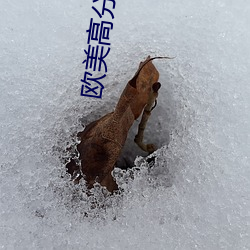 ezweb易利娱乐平台(唯一)官网登录入口