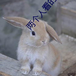 两(兩)个人看的WWW高(高)清视(視)频(頻)中
