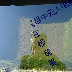 《目中无人电影免费完整版》章节免费在线观看