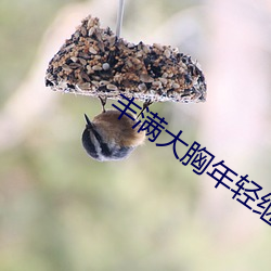 丰满大胸年轻继坶4 （张挂）