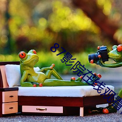 87影院在线观看视频在线观看 （燕石妄珍）