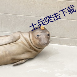 士兵突击下载