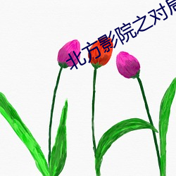 北方影院之对局