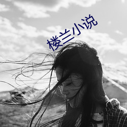 楼兰小(xiǎo)说