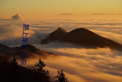 路上车上 小说