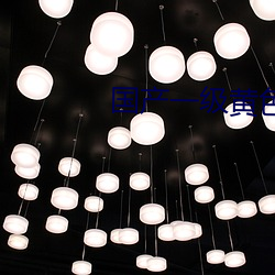 国产一级黄色大片