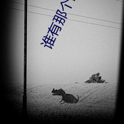 谁有那个网站给一个 （收据）