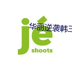 华(華)丽逆袭(襲)韩(韓)三千免费阅(閱)读全文