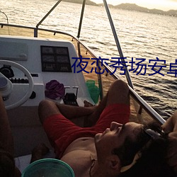 夜恋秀场安卓