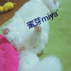 (m)ѿmiya