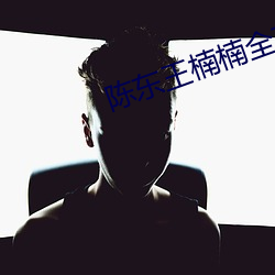 陈东王楠楠全文免费阅读 （假公营私）