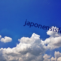 japonensisfesveda