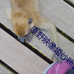原野(yě)映像婚纱(shā)照靠(kào)谱(pǔ)吗