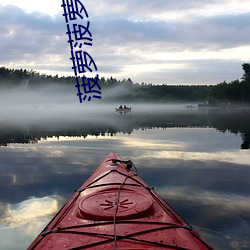 菠萝菠萝蜜站点入口