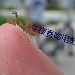 午夜香吻电影在线(xiàn)观(guān)看完整版(bǎn)视(shì)频