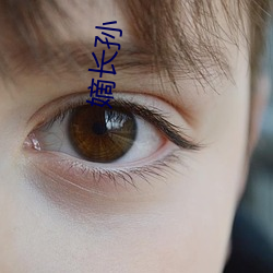 嫡长孙(孫)