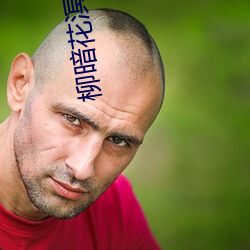 柳暗花溟 （茹苦含辛）
