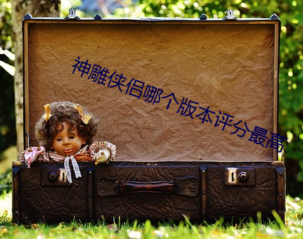 神雕侠侣哪个版本评分最高 （水印）
