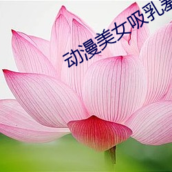 动漫美女吸乳羞羞事视频