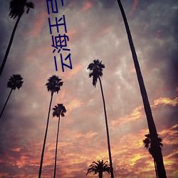 云海玉弓缘小说 （走风）