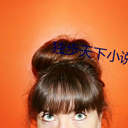 独步天下小说 （无从置喙）